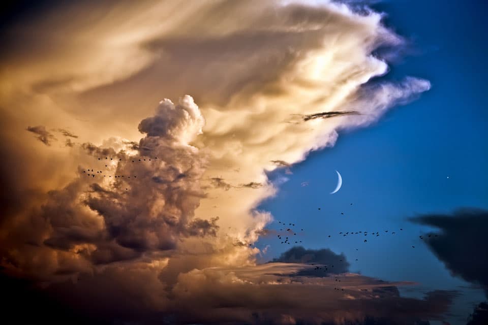 APOD: Clouds, Birds, Moon, Venus - May 12, 2013