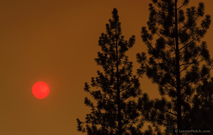 APOD: Strawberry Sun - August 29, 2013