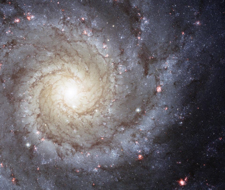 APOD: M74: The Perfect Spiral - August 11, 2013