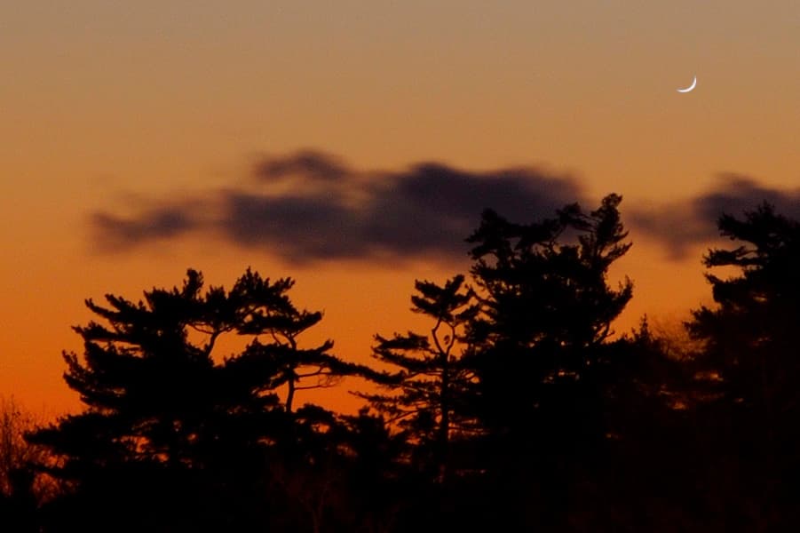 APOD: A New Year's Crescent - January 1, 2014