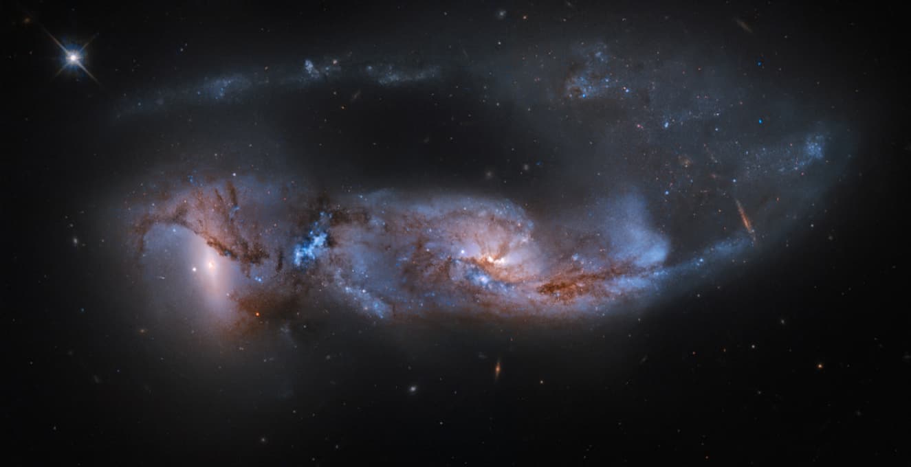 APOD: Arp 81: 100 Million Years Later - April 23, 2014