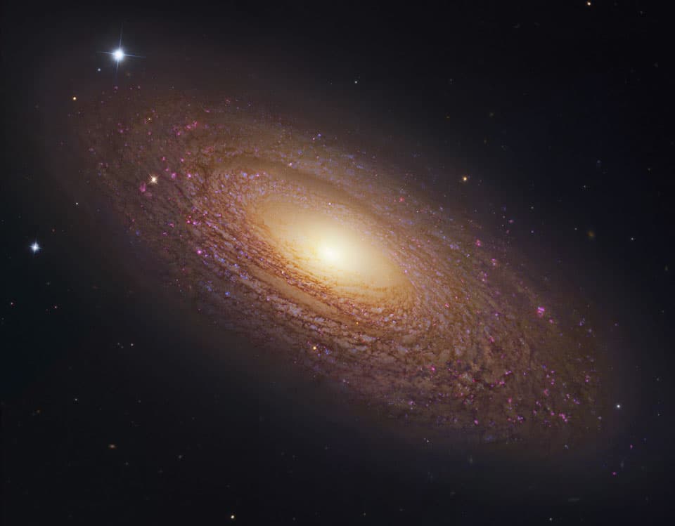 APOD: Massive Nearby Spiral Galaxy NGC 2841 - April 21, 2014