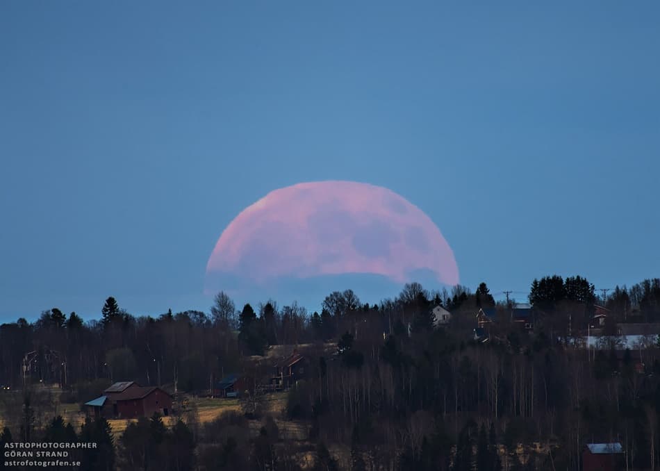 APOD: A Strawberry Moon - June 13, 2014