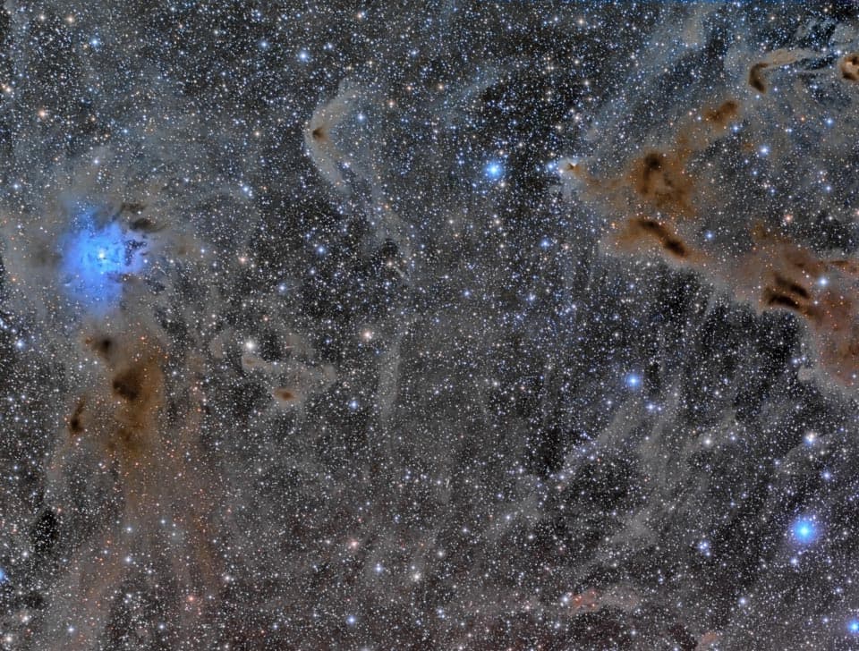 APOD: The Iris Nebula in a Field of Dust - June 24, 2014
