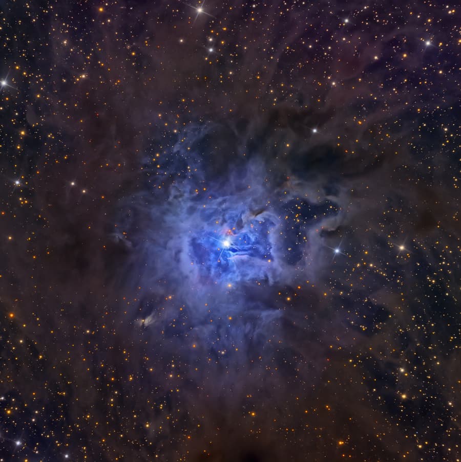 APOD: NGC 7023: The Iris Nebula - August 2, 2014