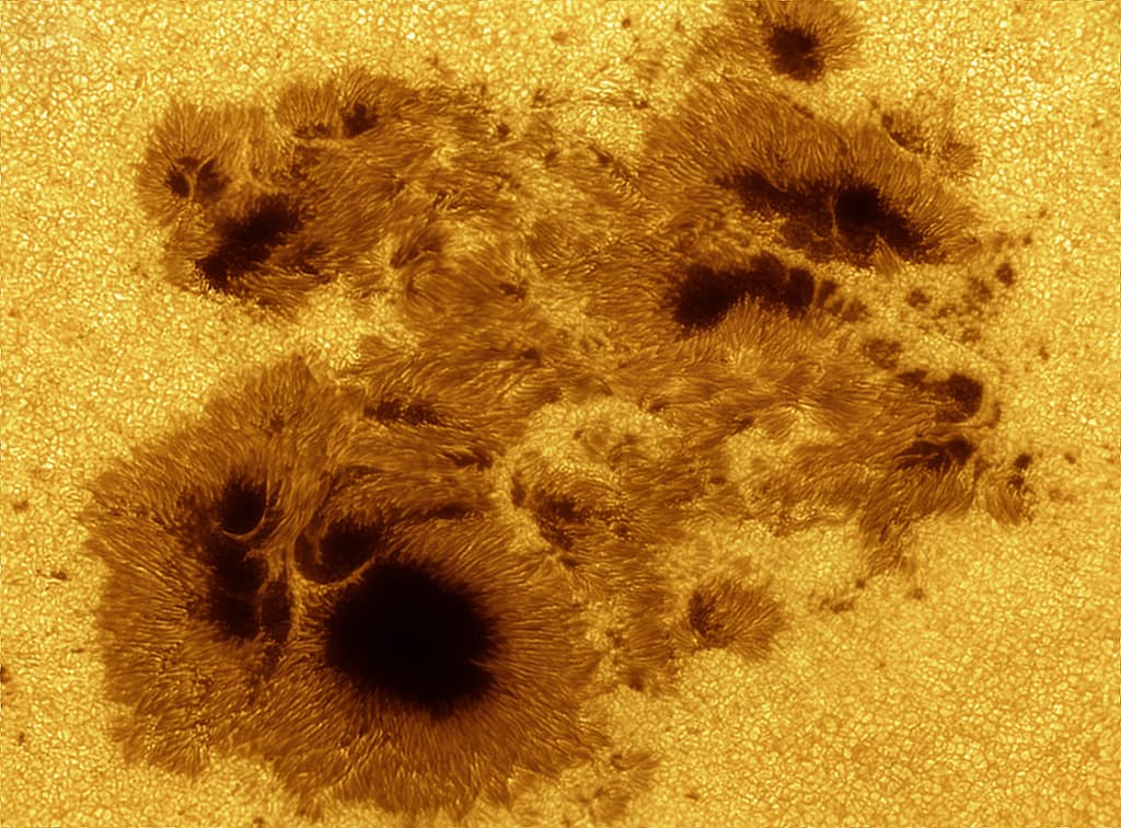 APOD: AR 2192: Giant on the Sun - October 24, 2014