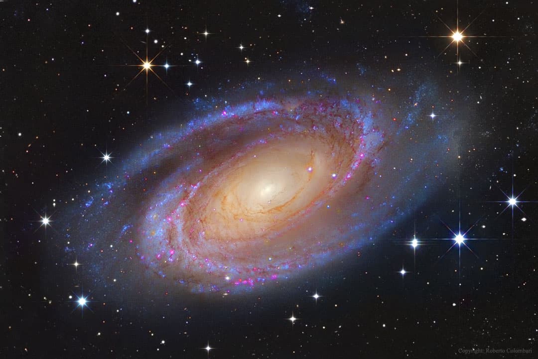 APOD: Bright Spiral Galaxy M81 - November 19, 2014