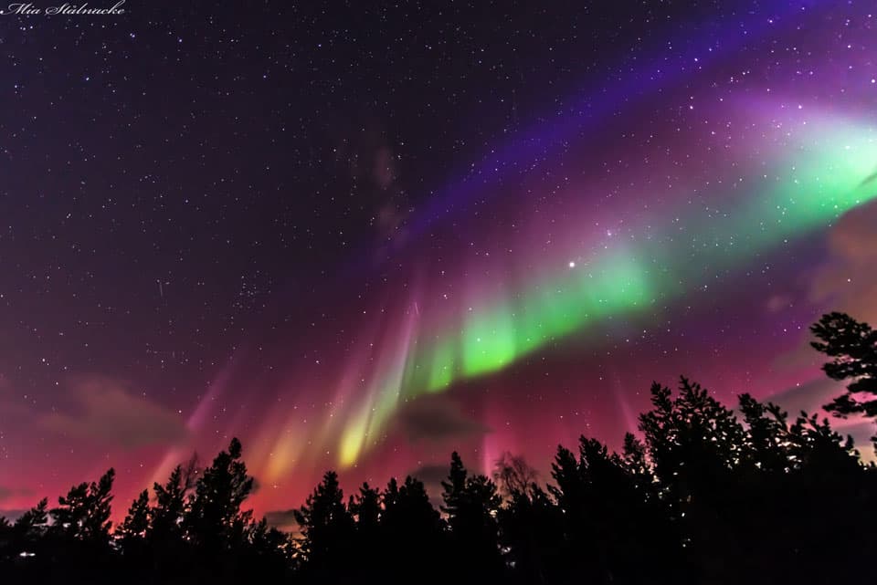 APOD: A Flag Shaped Aurora over Sweden - March 30, 2015