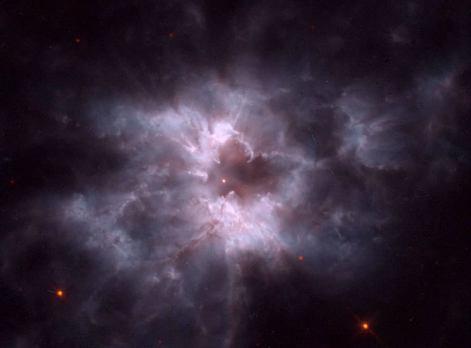 APOD: NGC 2440: Pearl of a New White Dwarf - May 17, 2015