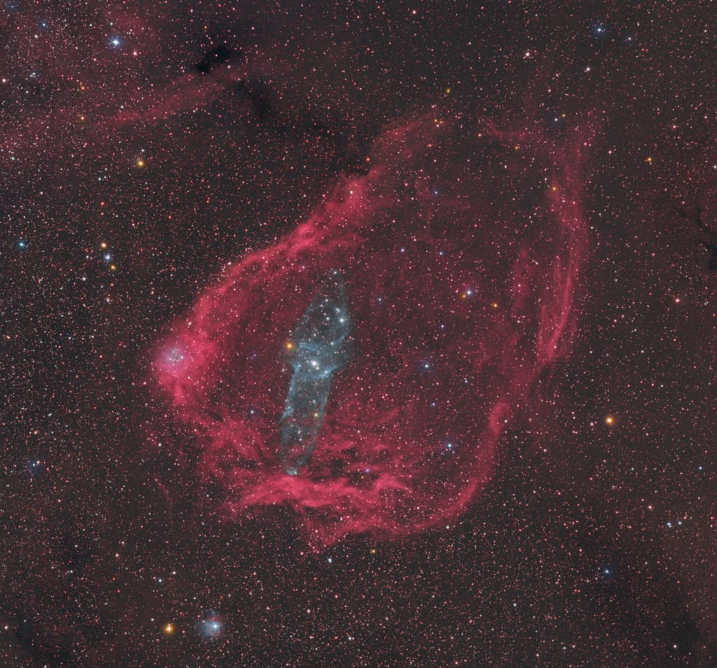 APOD: A Giant Squid in the Flying Bat - September 11, 2015