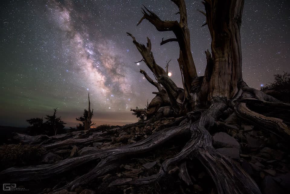 APOD: Galaxy and Planets Beyond Bristlecone Pines - June 19, 2016