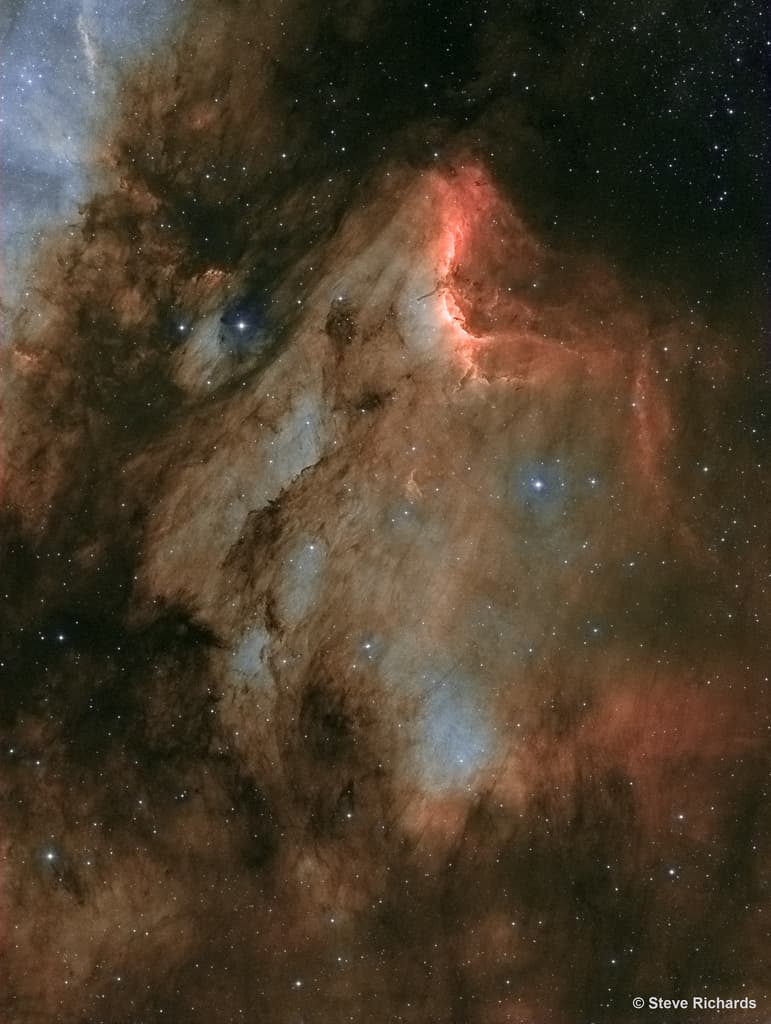 APOD: IC 5070: A Dusty Pelican in the Swan - November 19, 2016