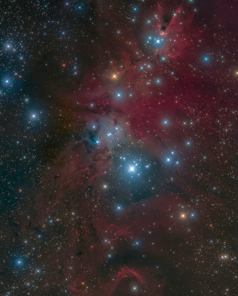 APOD: Fox Fur, Unicorn, and Christmas Tree - December 24, 2016