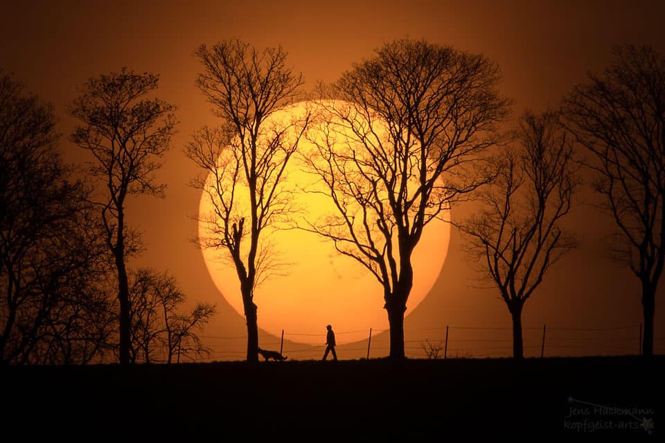 APOD: Man, Dog, Sun - April 11, 2017