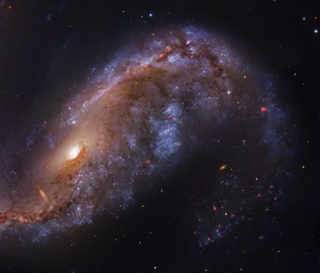 APOD: NGC 2442: Galaxy in Volans - August 17, 2017