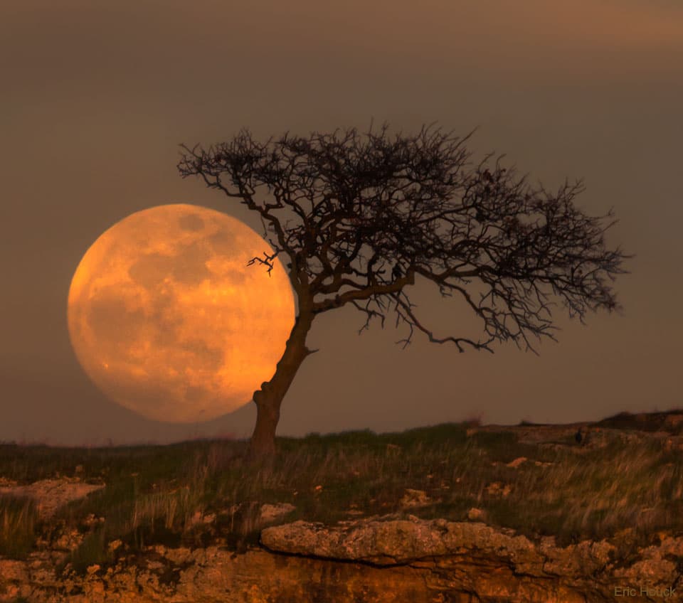 APOD: Blue Moon Tree - March 28, 2018