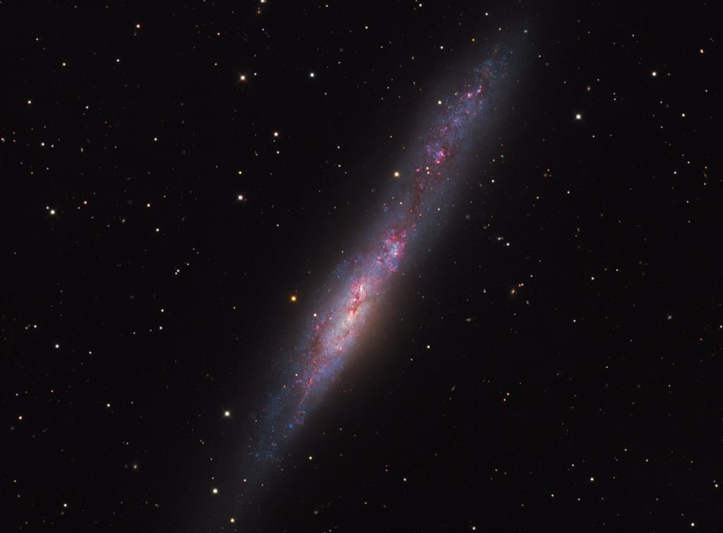 APOD: Irregular Galaxy NGC 55 - September 21, 2018