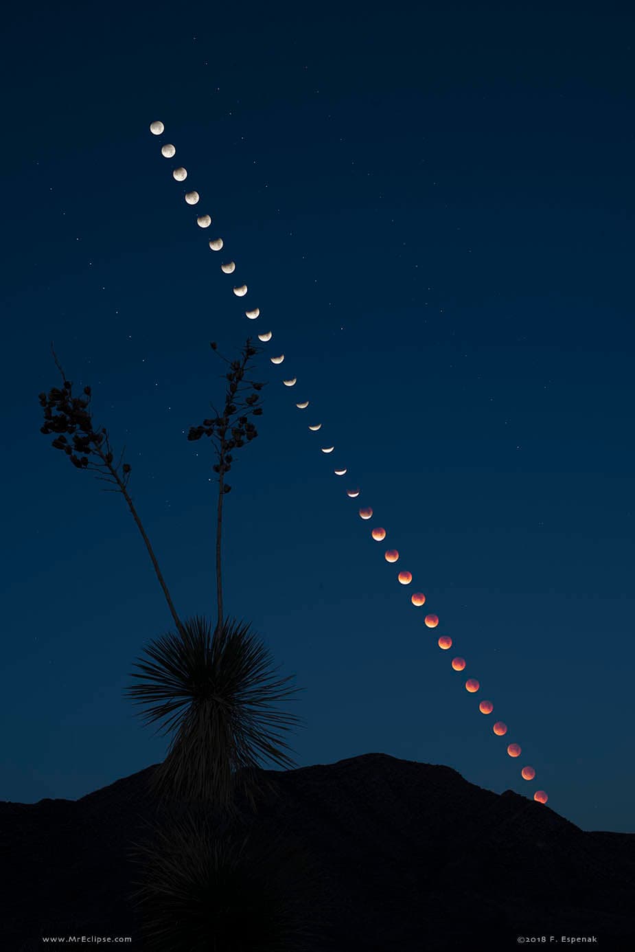 APOD: Total Lunar Eclipse at Moonset - January 19, 2019