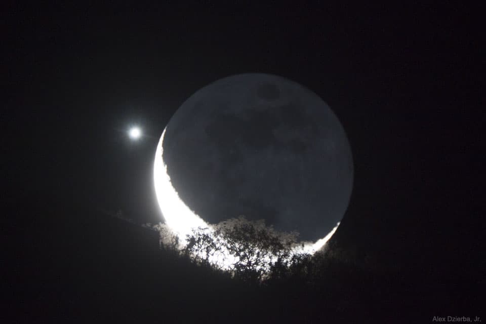APOD: Moon and Venus Appulse over a Tree - February 6, 2019