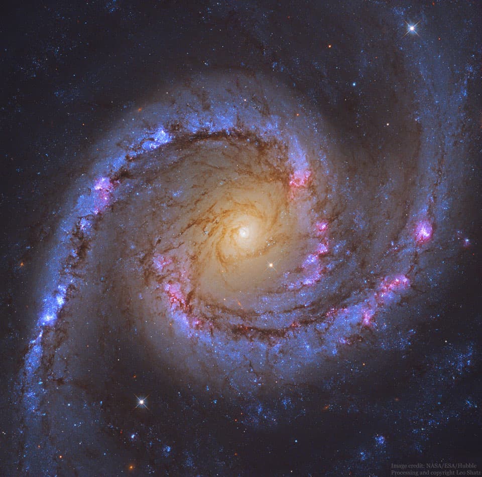 APOD: NGC 1566: The Spanish Dancer Spiral Galaxy - July 2, 2019
