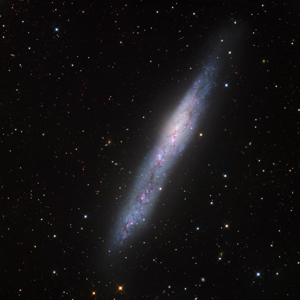 APOD: Magellanic Galaxy NGC 55 - July 12, 2019