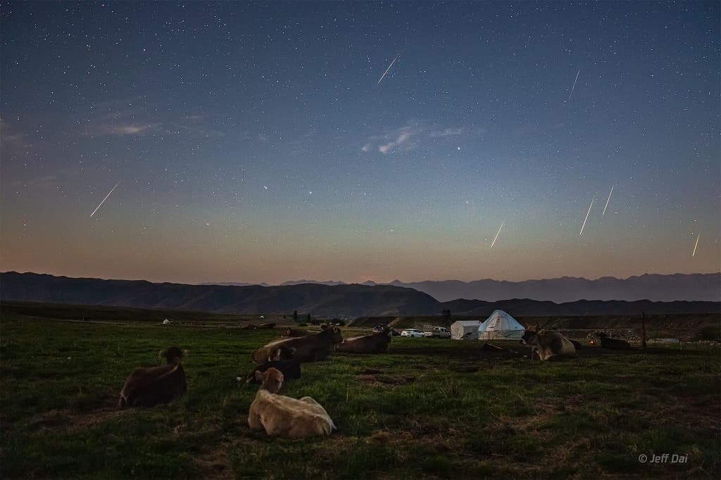 APOD: The Perseids and the Plough - August 15, 2019