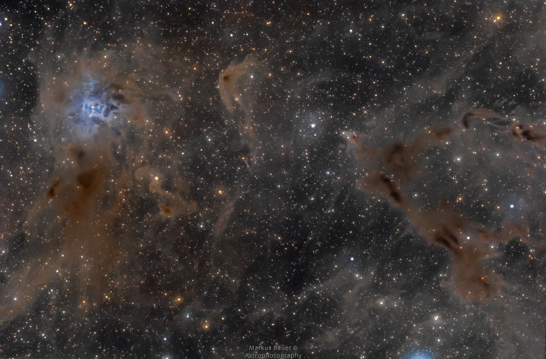 APOD: The Iris Nebula in a Field of Dust - September 12, 2019