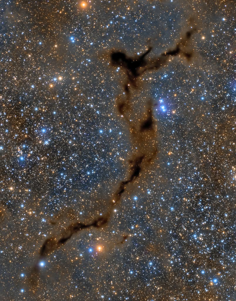 APOD: Dark Seahorse in Cepheus - October 24, 2019