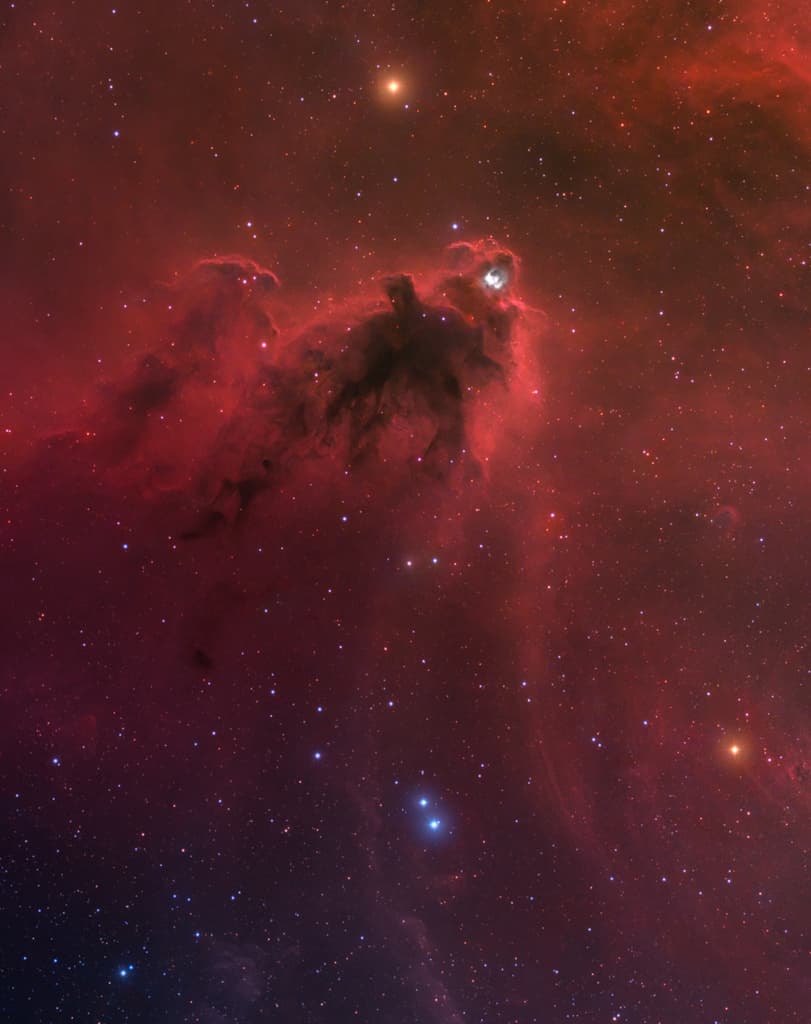 APOD: LDN 1622: Dark Nebula in Orion - February 21, 2020