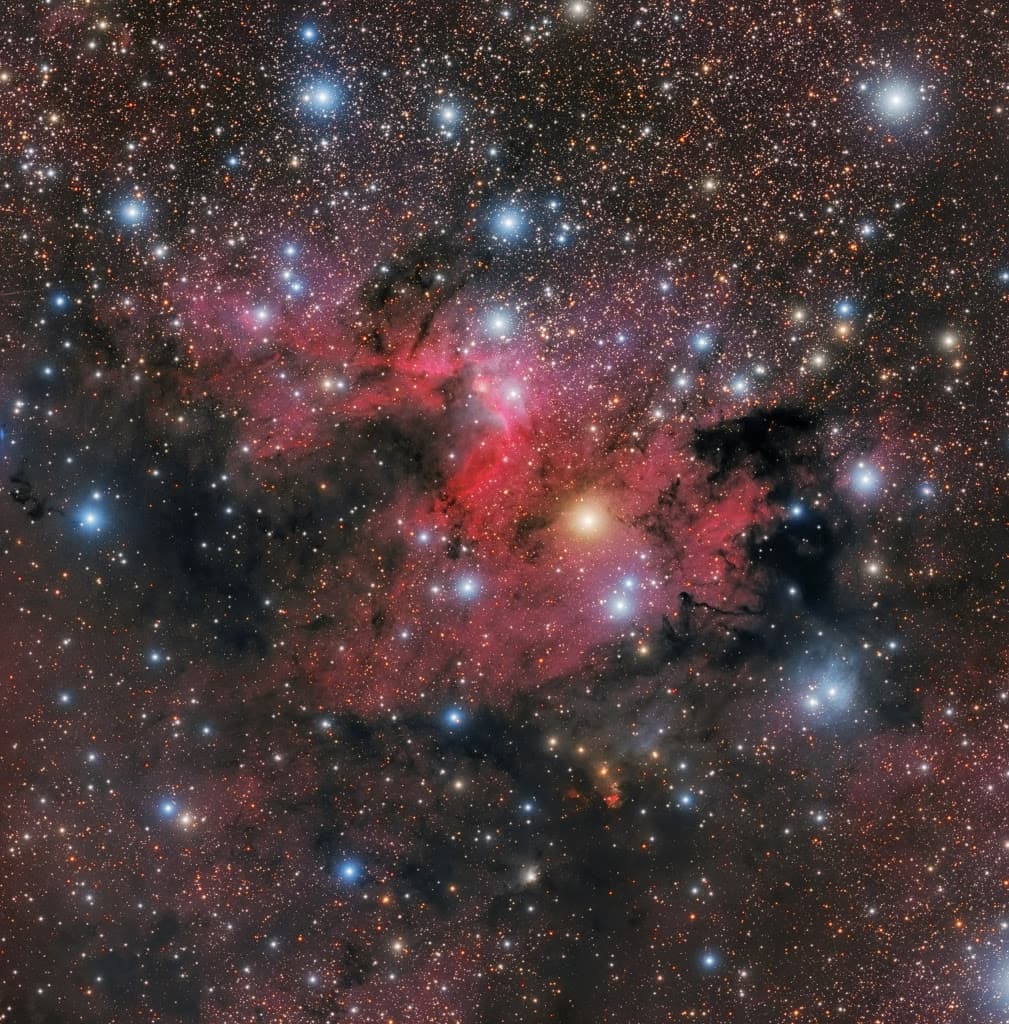 APOD: The Light, the Dark, and the Dusty - March 5, 2020