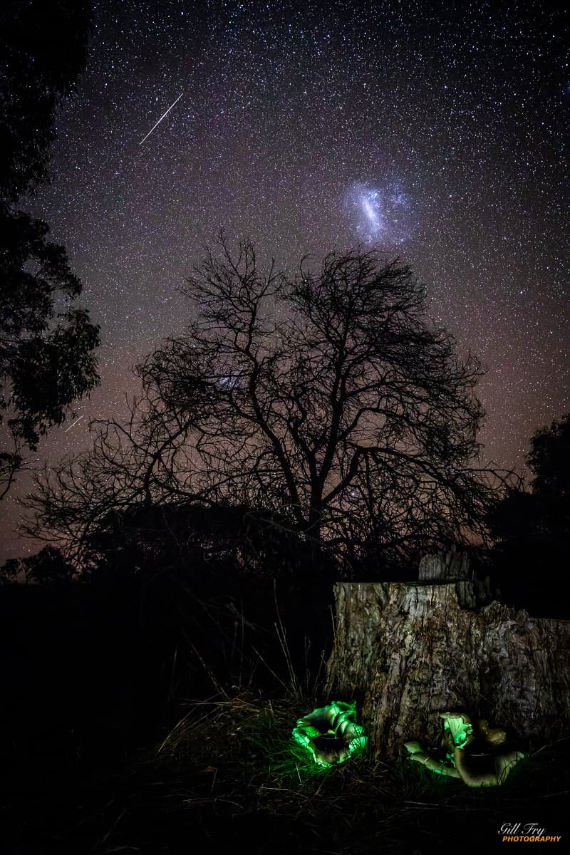 APOD: Ghost Fungus to Magellanic Cloud - May 23, 2020