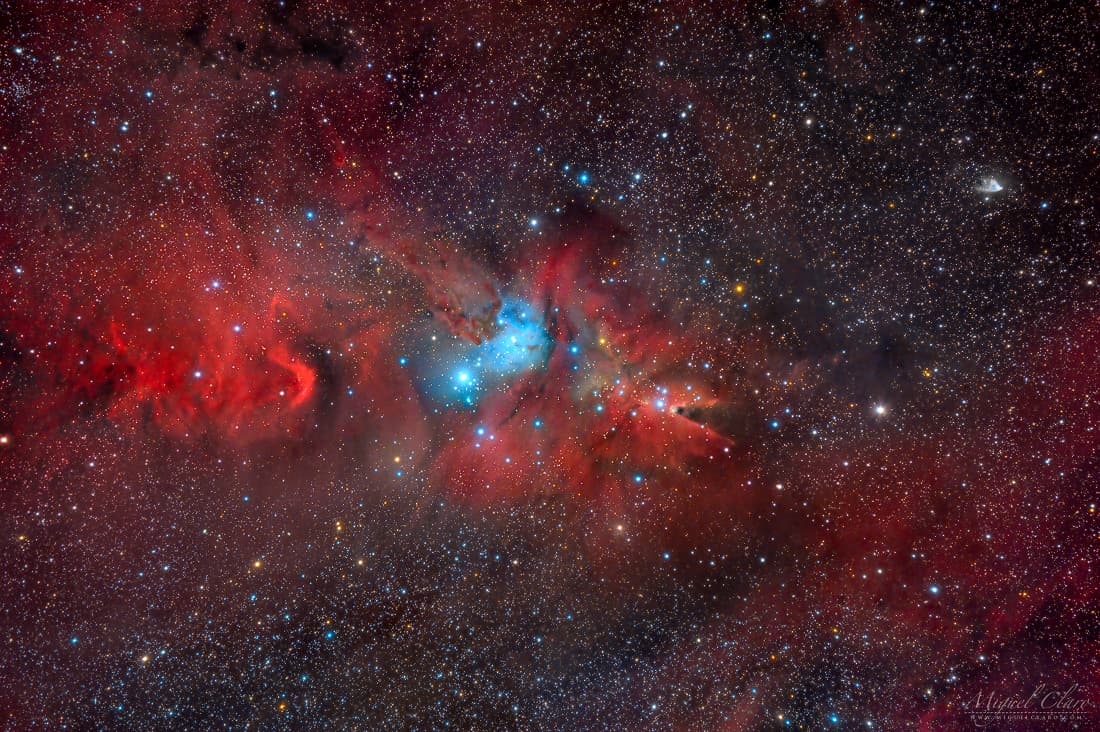 APOD: Fox Fur, Unicorn, and Christmas Tree - December 26, 2020
