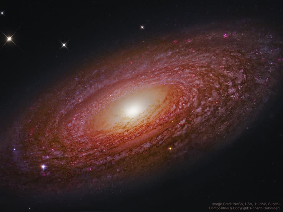 APOD: Massive Nearby Spiral Galaxy NGC 2841 - January 24, 2021