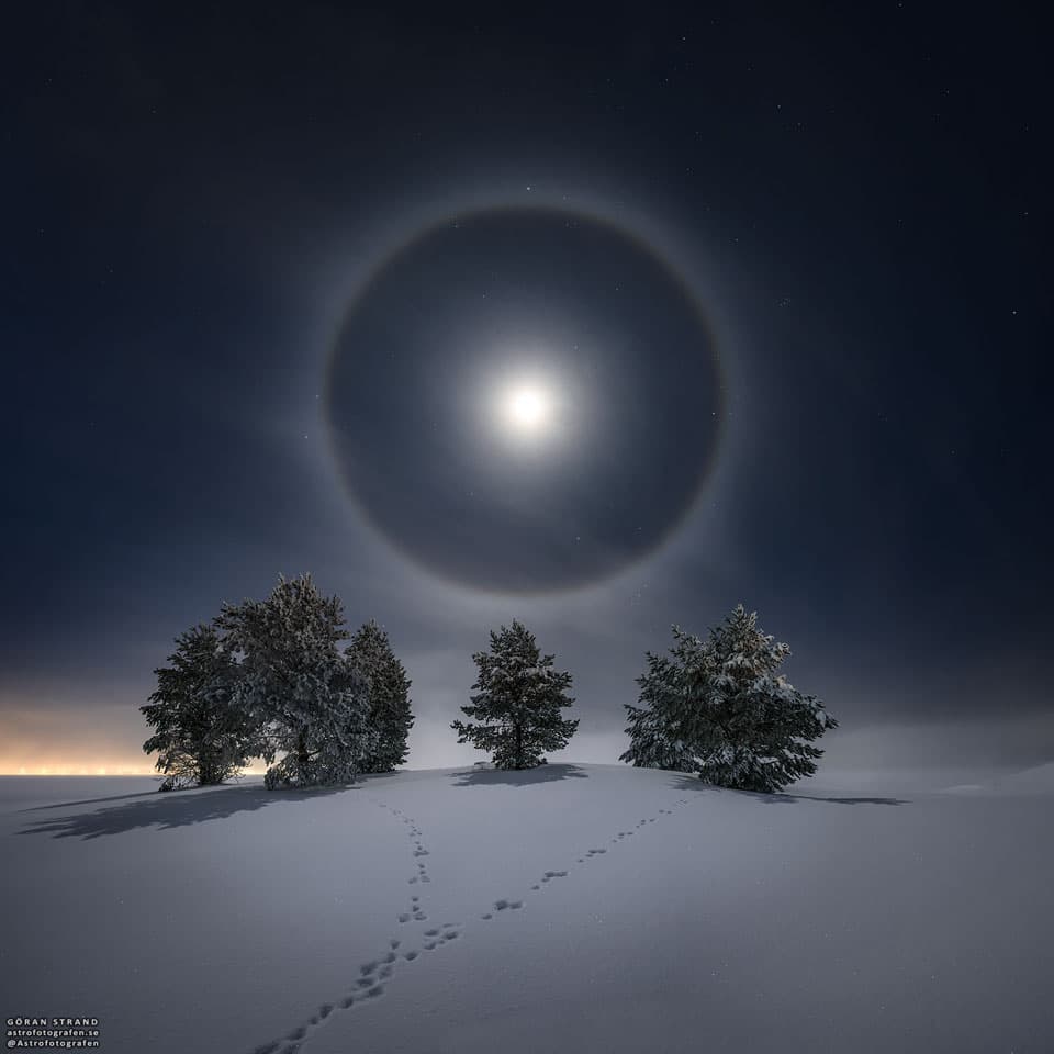APOD: Lunar Halo over Snowy Trees - February 1, 2021