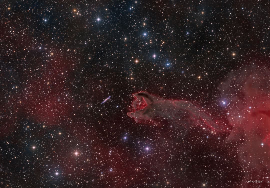 APOD: CG4: A Ruptured Cometary Globule - July 26, 2021