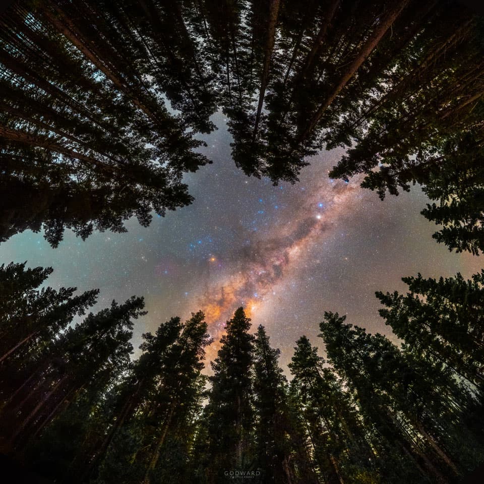 APOD: Framed by Trees: A Window to the Galaxy - July 19, 2021
