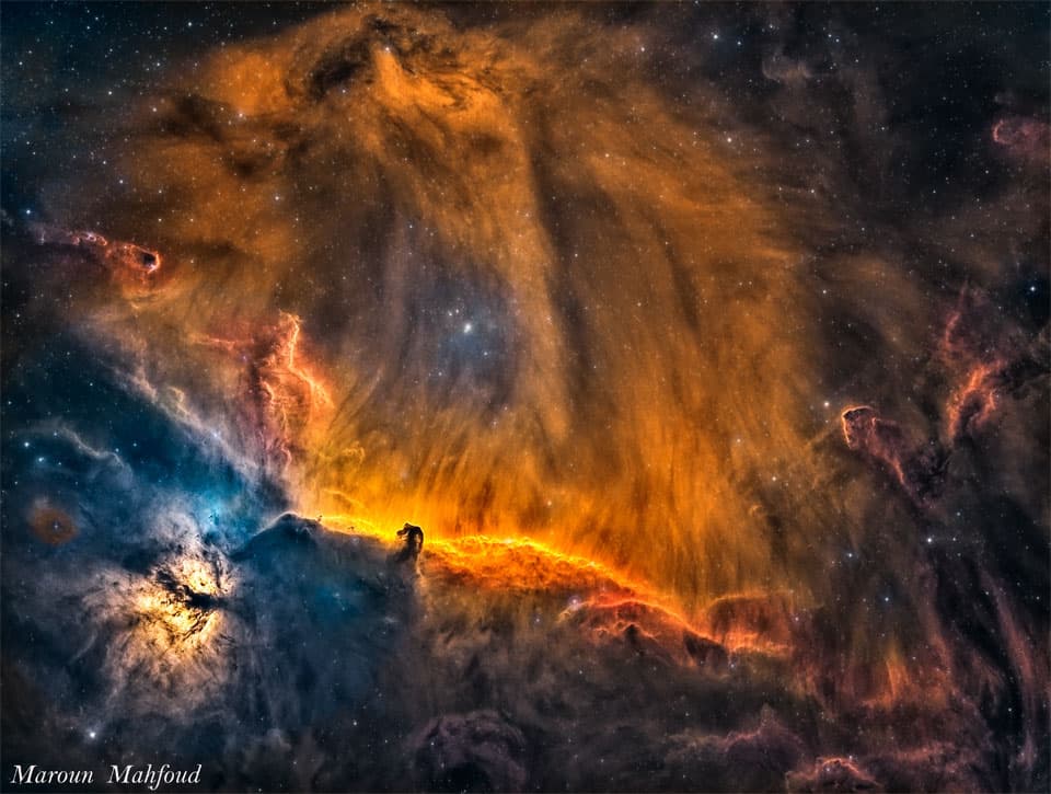 APOD: A Lion in Orion - March 7, 2022