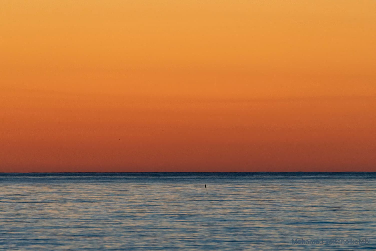 NASA APOD July 25, 2022: Find the New Moon