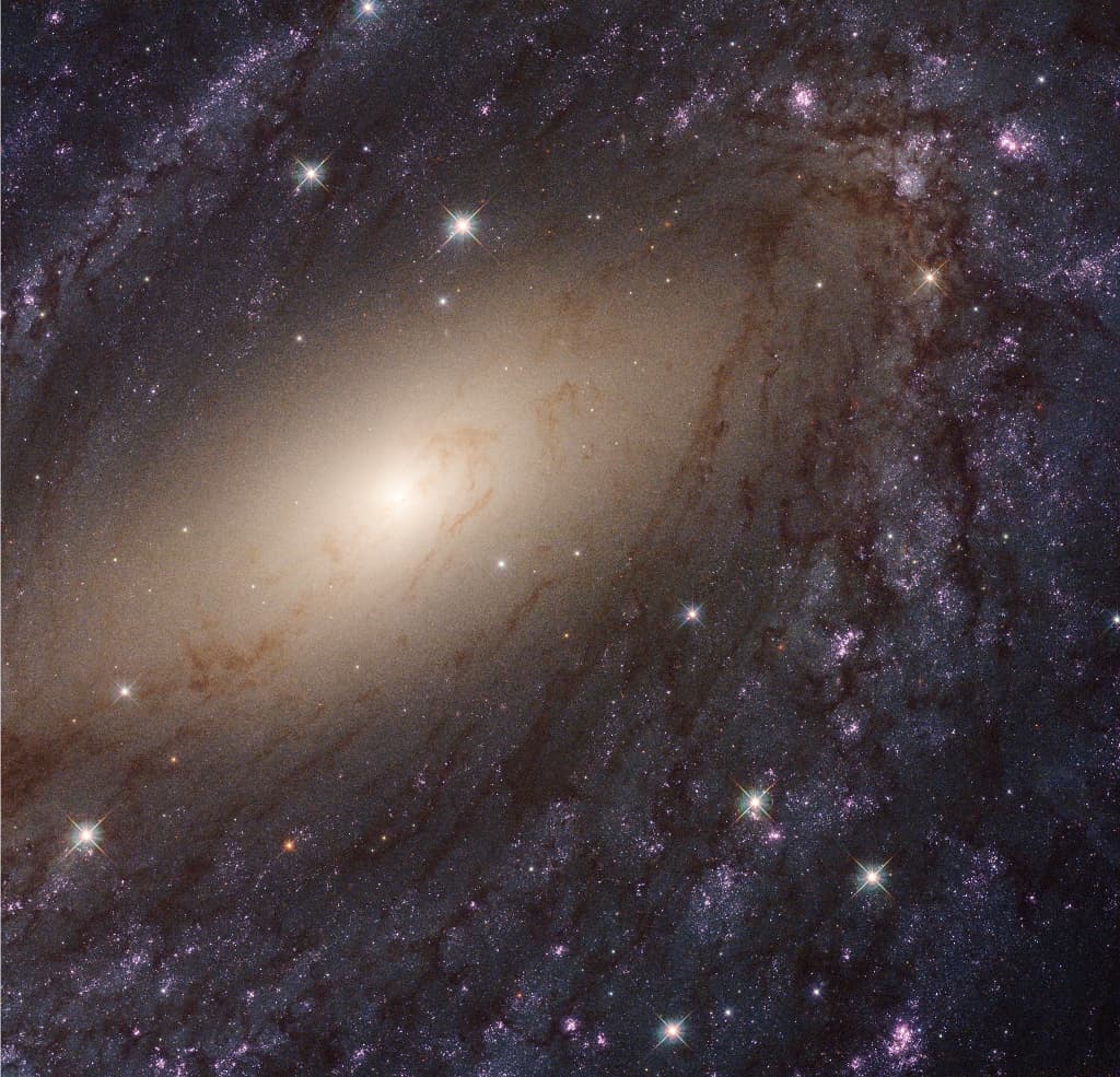 APOD: NGC 6744: Extragalactic Close-Up - November 25, 2022