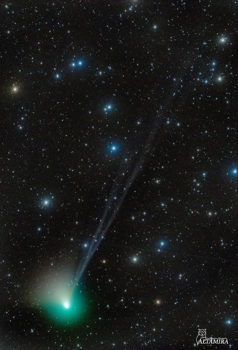 APOD: Tails of Comet ZTF - January 9, 2023
