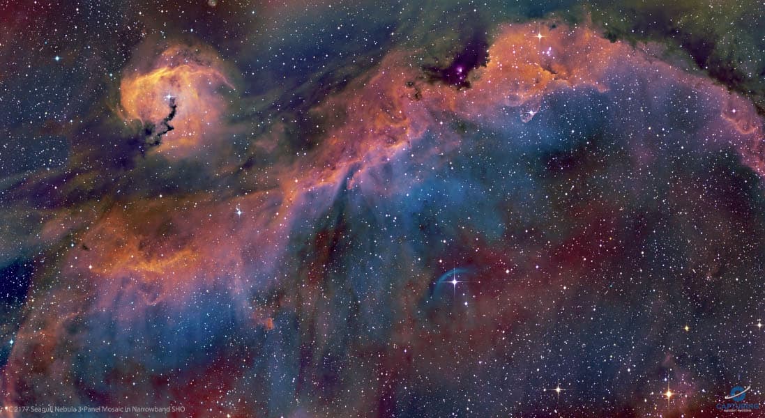 APOD: The Seagull Nebula - January 19, 2023