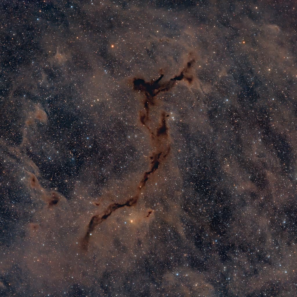 APOD: The Dark Seahorse in Cepheus - April 20, 2023