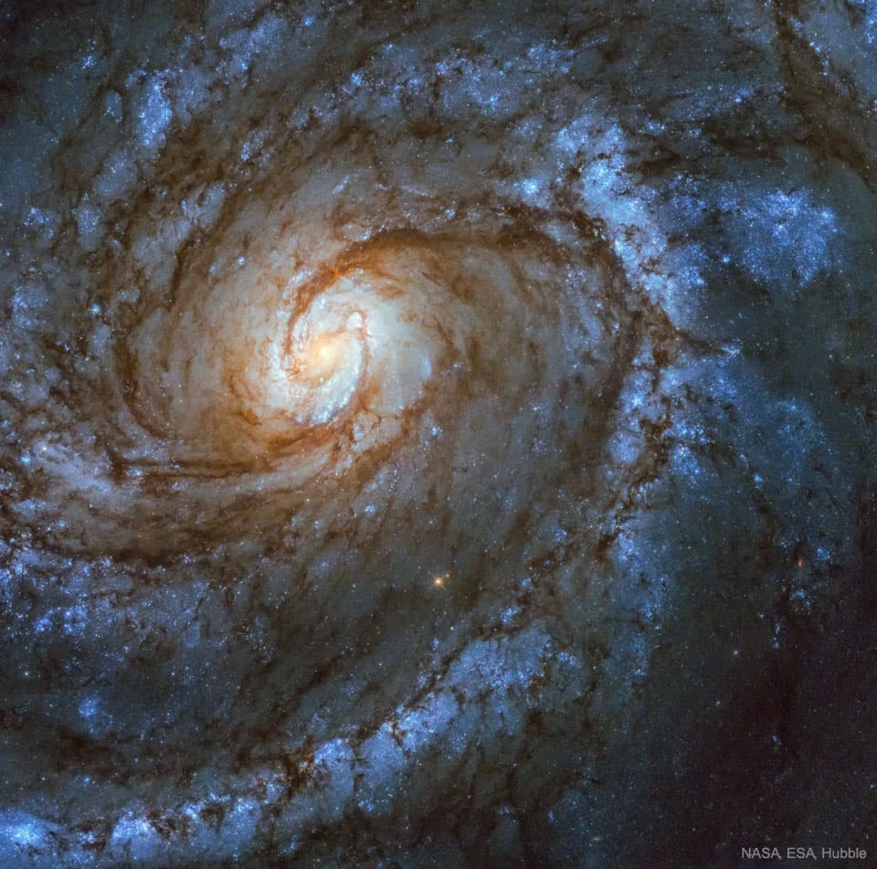 APOD: M100: A Grand Design Spiral Galaxy - April 8, 2023
