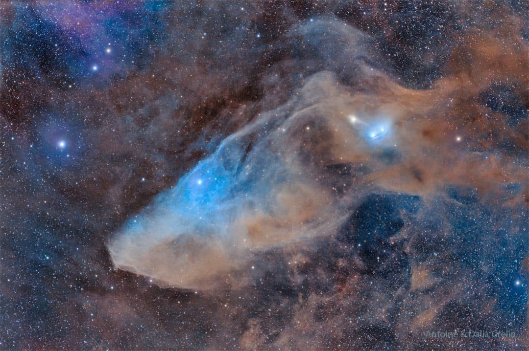 APOD: IC 4592: The Blue Horsehead Reflection Nebula - September 26, 2023