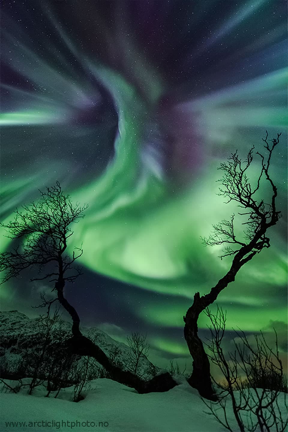 APOD: Creature Aurora Over Norway - November 5, 2023