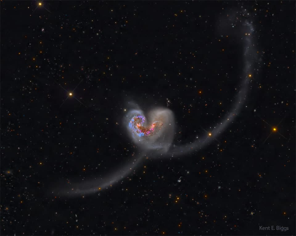 APOD: The Heart Shaped Antennae Galaxies - February 7, 2024