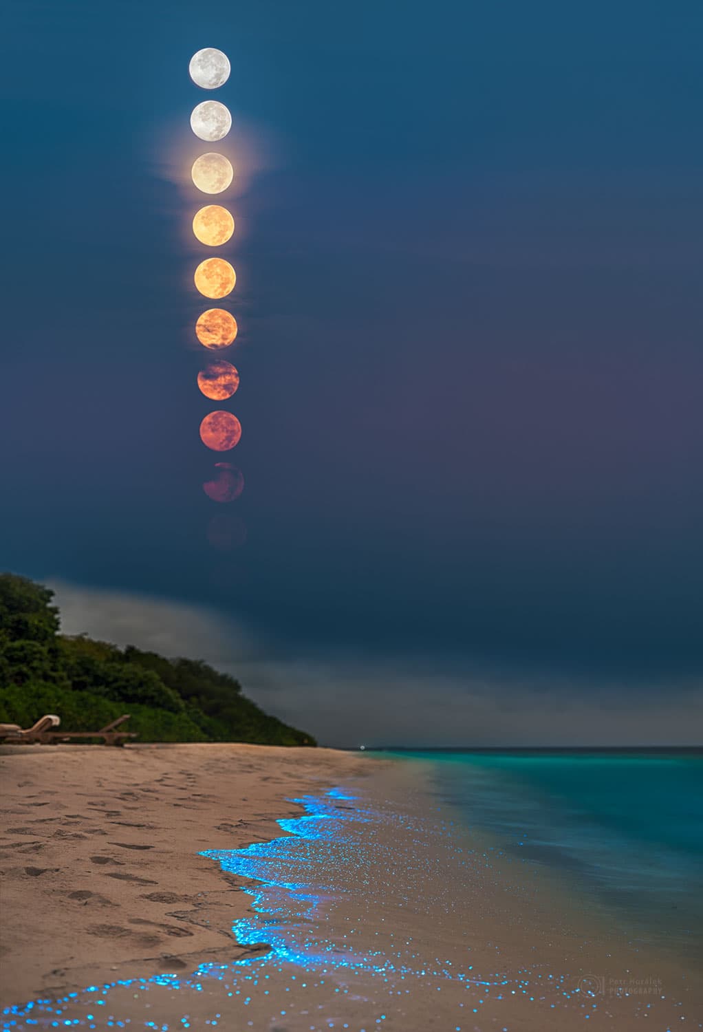 APOD: A Full Plankton Moon - March 11, 2024