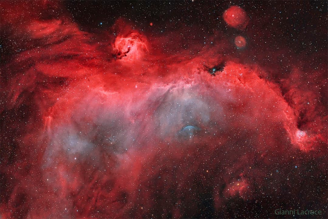 APOD: The Seagull Nebula - March 13, 2024
