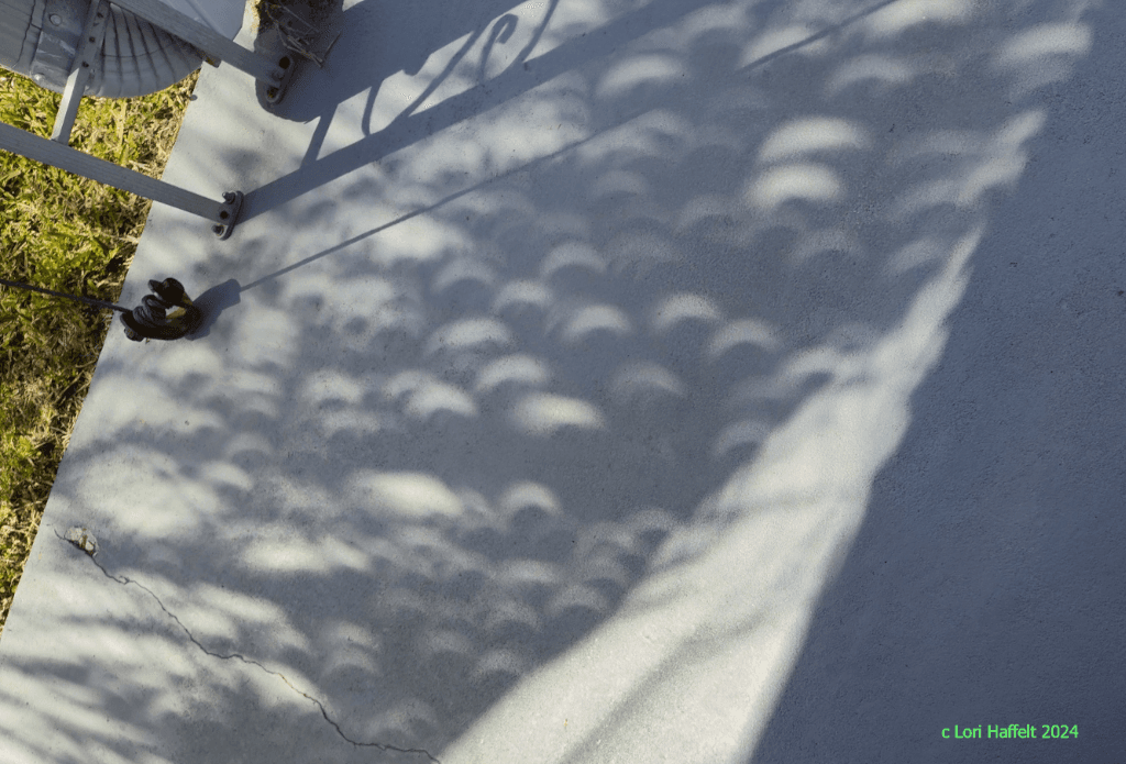 APOD: Palm Tree Partial Eclipse - April 13, 2024