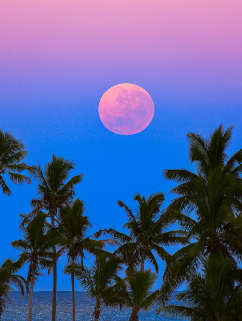 APOD: South Pacific Shadowset - August 24, 2024
